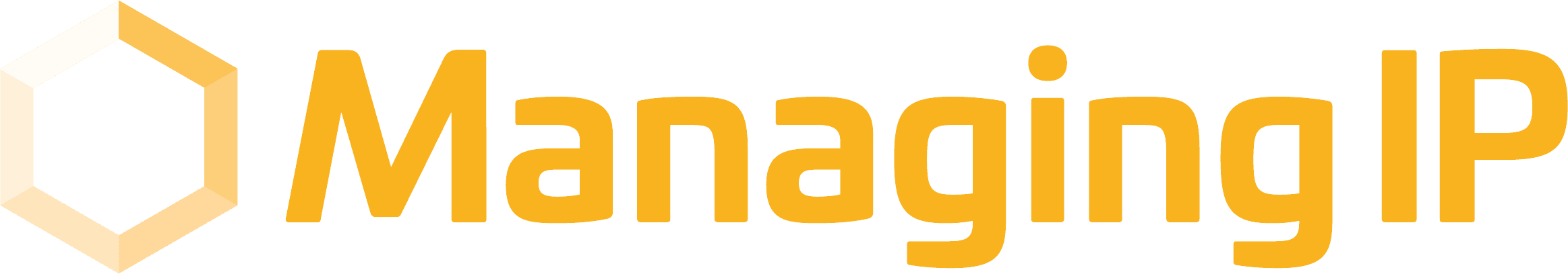 Managing IP Logo